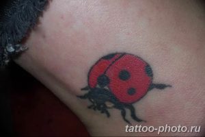 фото идея тату божья коровка 22.12.2018 №289 - photo ladybug tattool- tattoo-photo.ru