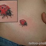 фото идея тату божья коровка 22.12.2018 №296 - photo ladybug tattool- tattoo-photo.ru
