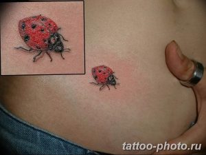 фото идея тату божья коровка 22.12.2018 №296 - photo ladybug tattool- tattoo-photo.ru