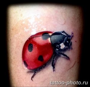 фото идея тату божья коровка 22.12.2018 №300 - photo ladybug tattool- tattoo-photo.ru