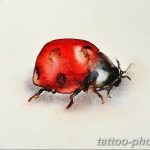 фото идея тату божья коровка 22.12.2018 №302 - photo ladybug tattool- tattoo-photo.ru