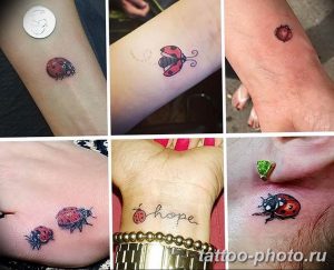 фото идея тату божья коровка 22.12.2018 №306 - photo ladybug tattool- tattoo-photo.ru