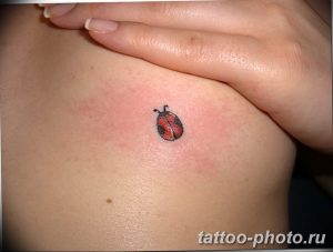 фото идея тату божья коровка 22.12.2018 №309 - photo ladybug tattool- tattoo-photo.ru