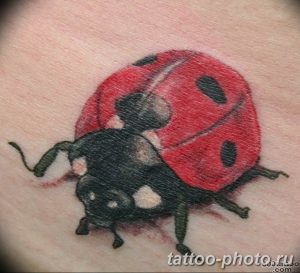 фото идея тату божья коровка 22.12.2018 №311 - photo ladybug tattool- tattoo-photo.ru