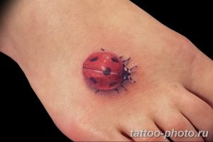 фото идея тату божья коровка 22.12.2018 №312 - photo ladybug tattool- tattoo-photo.ru