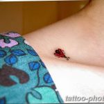 фото идея тату божья коровка 22.12.2018 №316 - photo ladybug tattool- tattoo-photo.ru