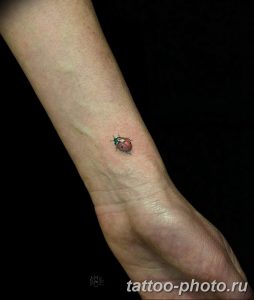 фото идея тату божья коровка 22.12.2018 №321 - photo ladybug tattool- tattoo-photo.ru