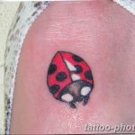 фото идея тату божья коровка 22.12.2018 №323 - photo ladybug tattool- tattoo-photo.ru