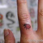 фото идея тату божья коровка 22.12.2018 №324 - photo ladybug tattool- tattoo-photo.ru