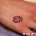 фото идея тату божья коровка 22.12.2018 №326 - photo ladybug tattool- tattoo-photo.ru