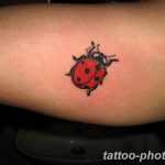 фото идея тату божья коровка 22.12.2018 №330 - photo ladybug tattool- tattoo-photo.ru