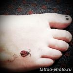 фото идея тату божья коровка 22.12.2018 №333 - photo ladybug tattool- tattoo-photo.ru