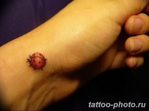 фото идея тату божья коровка 22.12.2018 №334 - photo ladybug tattool- tattoo-photo.ru