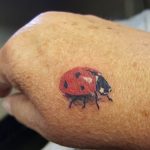 фото идея тату божья коровка 22.12.2018 №338 - photo ladybug tattool- tattoo-photo.ru