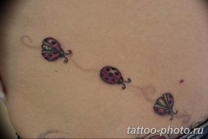 фото идея тату божья коровка 22.12.2018 №340 - photo ladybug tattool- tattoo-photo.ru
