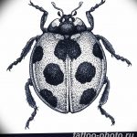 фото идея тату божья коровка 22.12.2018 №343 - photo ladybug tattool- tattoo-photo.ru