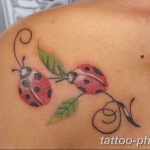 фото идея тату божья коровка 22.12.2018 №344 - photo ladybug tattool- tattoo-photo.ru