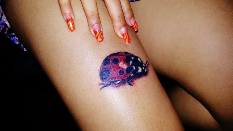 фото идея тату божья коровка 22.12.2018 №349 - photo ladybug tattool- tattoo-photo.ru