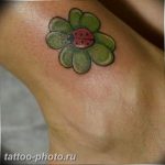 фото тату клевер четырехлистный 24.12.2018 №015 - four leaf clover tattoo - tattoo-photo.ru