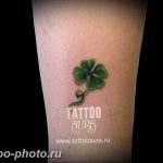 фото тату клевер четырехлистный 24.12.2018 №050 - four leaf clover tattoo - tattoo-photo.ru