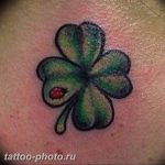 фото тату клевер четырехлистный 24.12.2018 №059 - four leaf clover tattoo - tattoo-photo.ru