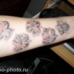 фото тату клевер четырехлистный 24.12.2018 №157 - four leaf clover tattoo - tattoo-photo.ru