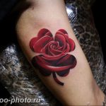 фото тату клевер четырехлистный 24.12.2018 №220 - four leaf clover tattoo - tattoo-photo.ru