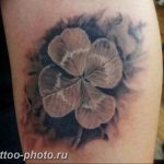 фото тату клевер четырехлистный 24.12.2018 №271 - four leaf clover tattoo - tattoo-photo.ru