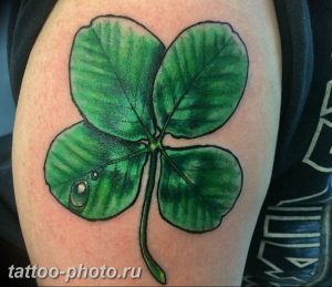 фото тату клевер четырехлистный 24.12.2018 №331 - four leaf clover tattoo - tattoo-photo.ru