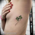 фото тату клевер четырехлистный 24.12.2018 №439 - four leaf clover tattoo - tattoo-photo.ru