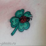 фото тату клевер четырехлистный 24.12.2018 №443 - four leaf clover tattoo - tattoo-photo.ru