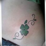 фото тату клевер четырехлистный 24.12.2018 №453 - four leaf clover tattoo - tattoo-photo.ru