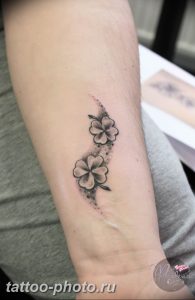 фото тату клевер четырехлистный 24.12.2018 №470 - four leaf clover tattoo - tattoo-photo.ru