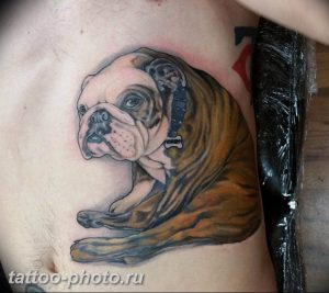 Фото тату бульдог 27.02.2019 №007 - Photo tattoo bulldog - tattoo-photo.ru