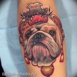 Фото тату бульдог 27.02.2019 №013 - Photo tattoo bulldog - tattoo-photo.ru