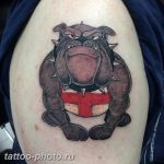 Фото тату бульдог 27.02.2019 №027 - Photo tattoo bulldog - tattoo-photo.ru