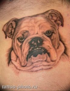 Фото тату бульдог 27.02.2019 №031 - Photo tattoo bulldog - tattoo-photo.ru