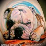 Фото тату бульдог 27.02.2019 №073 - Photo tattoo bulldog - tattoo-photo.ru