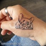 Фото тату бульдог 27.02.2019 №081 - Photo tattoo bulldog - tattoo-photo.ru