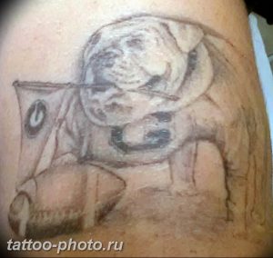 Фото тату бульдог 27.02.2019 №083 - Photo tattoo bulldog - tattoo-photo.ru