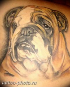 Фото тату бульдог 27.02.2019 №085 - Photo tattoo bulldog - tattoo-photo.ru