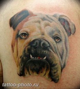 Фото тату бульдог 27.02.2019 №091 - Photo tattoo bulldog - tattoo-photo.ru