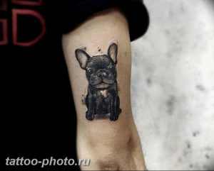 Фото тату бульдог 27.02.2019 №117 - Photo tattoo bulldog - tattoo-photo.ru