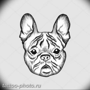 Фото тату бульдог 27.02.2019 №132 - Photo tattoo bulldog - tattoo-photo.ru