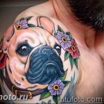 Фото тату бульдог 27.02.2019 №141 - Photo tattoo bulldog - tattoo-photo.ru