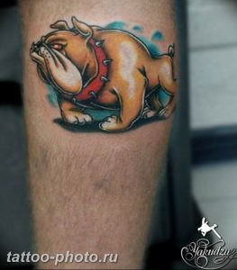 Фото тату бульдог 27.02.2019 №162 - Photo tattoo bulldog - tattoo-photo.ru