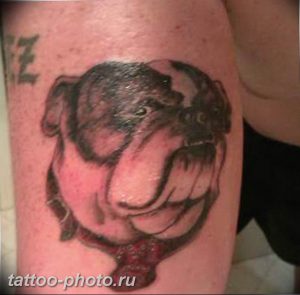 Фото тату бульдог 27.02.2019 №194 - Photo tattoo bulldog - tattoo-photo.ru