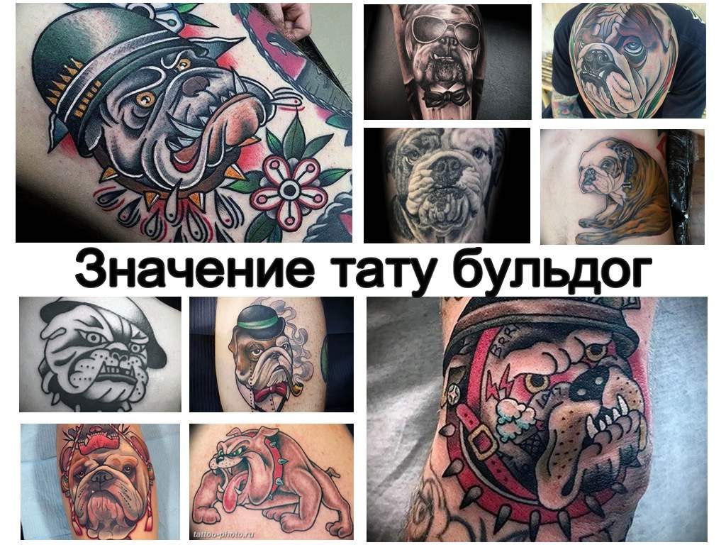 Значение тату бульдог - информация про особенности рисунка и фото примеры готовых татуировок