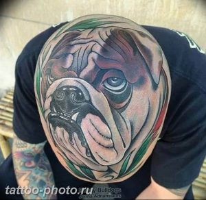 Фото тату бульдог 27.02.2019 №004 - Photo tattoo bulldog - tattoo-photo.ru
