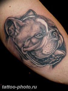 Фото тату бульдог 27.02.2019 №008 - Photo tattoo bulldog - tattoo-photo.ru